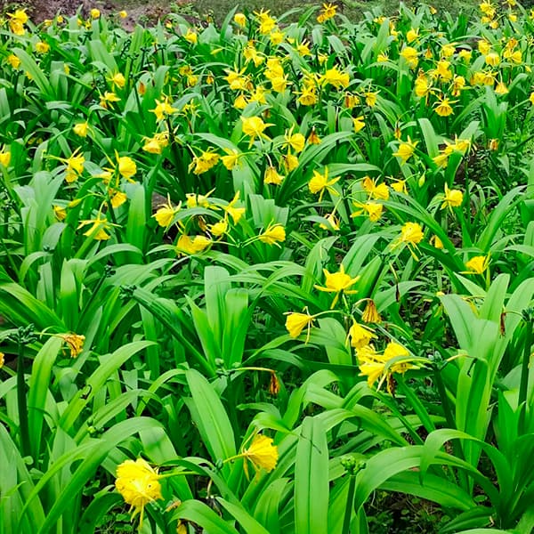 Banner de tarjeta del curso Curso de Actualización en Regulación Ambiental